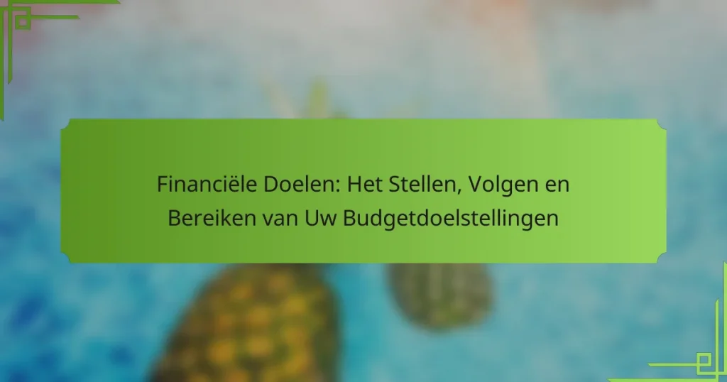 Financiële Doelen: Het Stellen, Volgen en Bereiken van Uw Budgetdoelstellingen