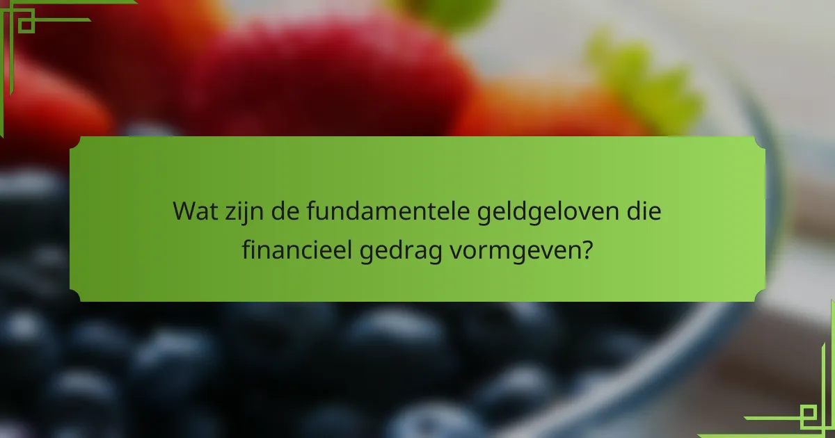 Wat zijn de fundamentele geldgeloven die financieel gedrag vormgeven?