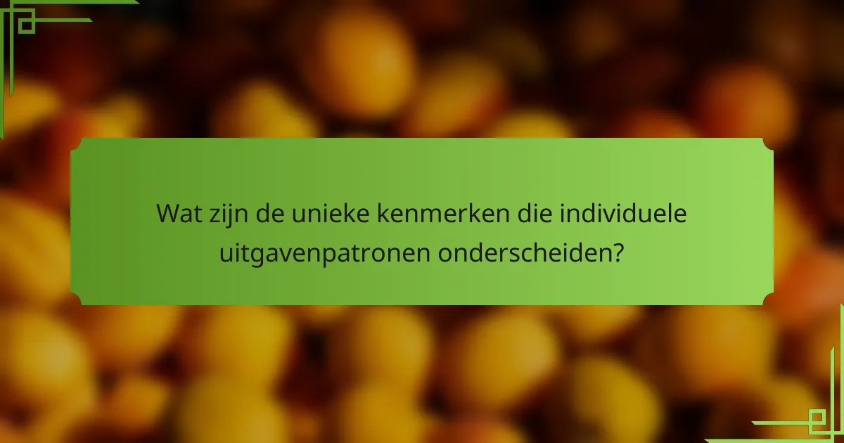 Wat zijn de unieke kenmerken die individuele uitgavenpatronen onderscheiden?